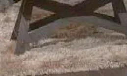 Champagne Luster Shag Rug