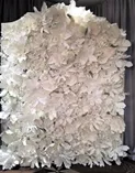 Ivory Floral Wall 8x8