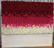 Ombre Rose Wall