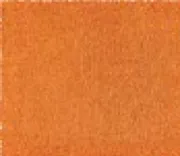 Orange Shag Rug