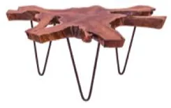 Wood Slab Coffee Table